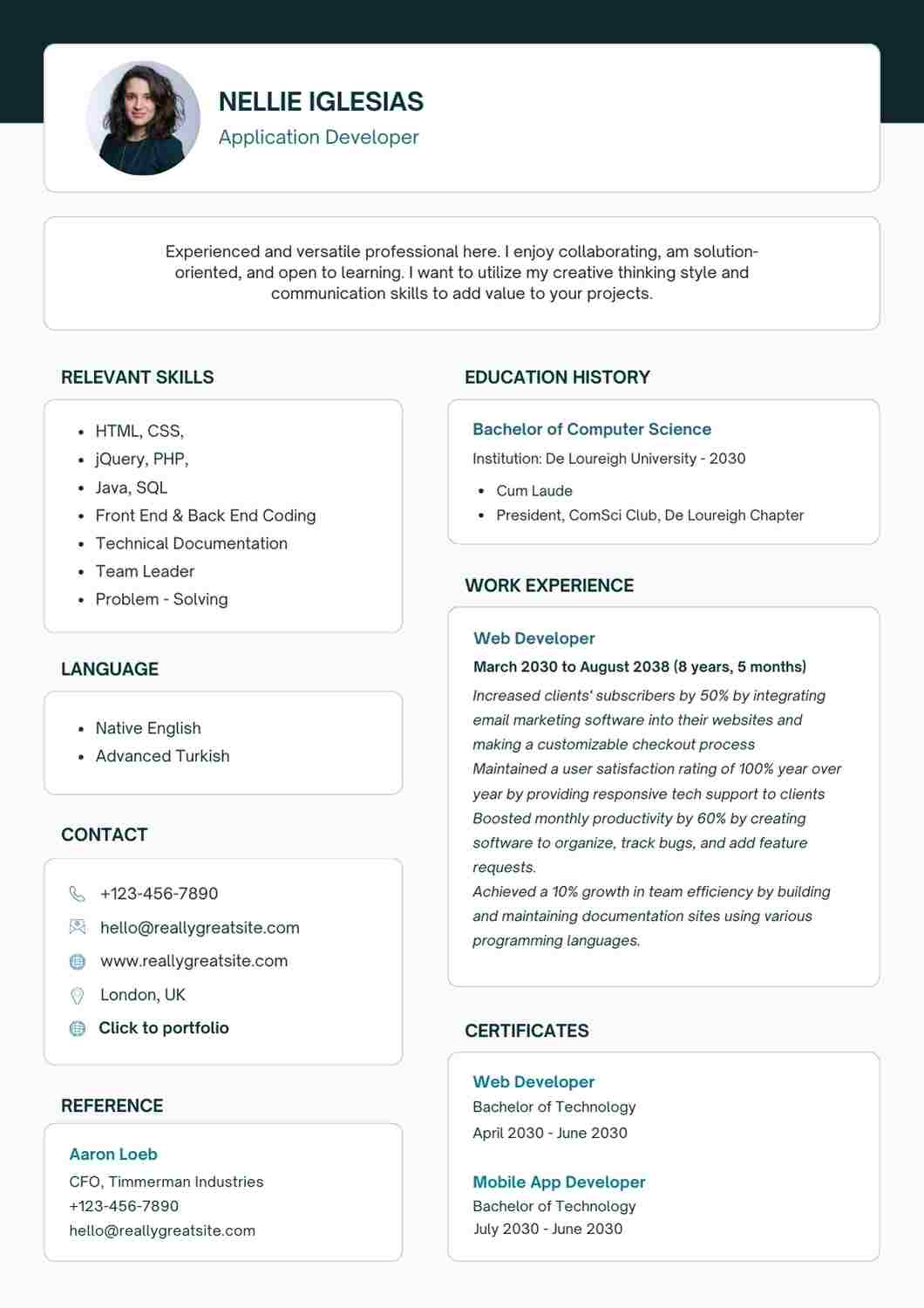 Application Developer CV