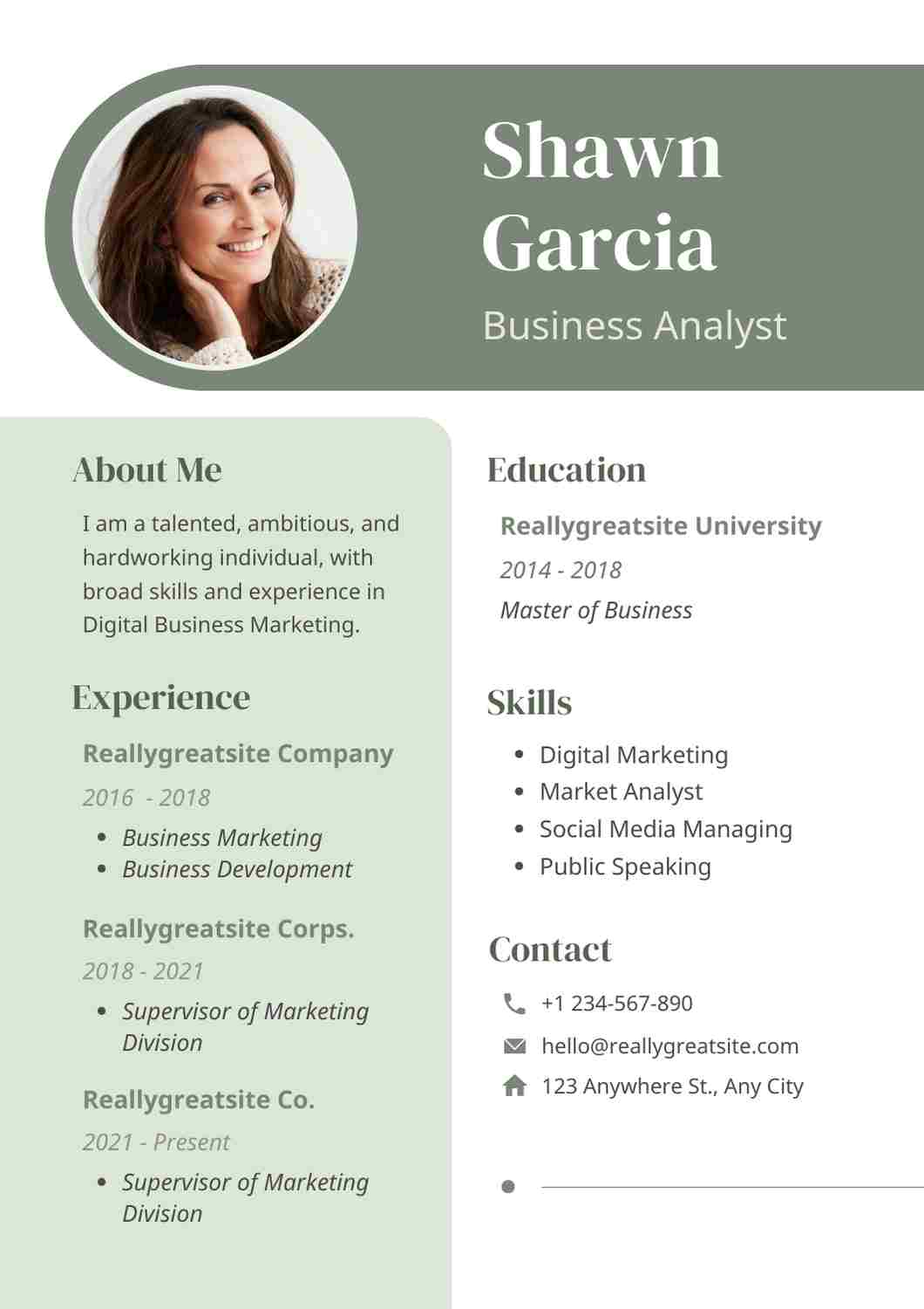 Business Intelligence Analyst CV