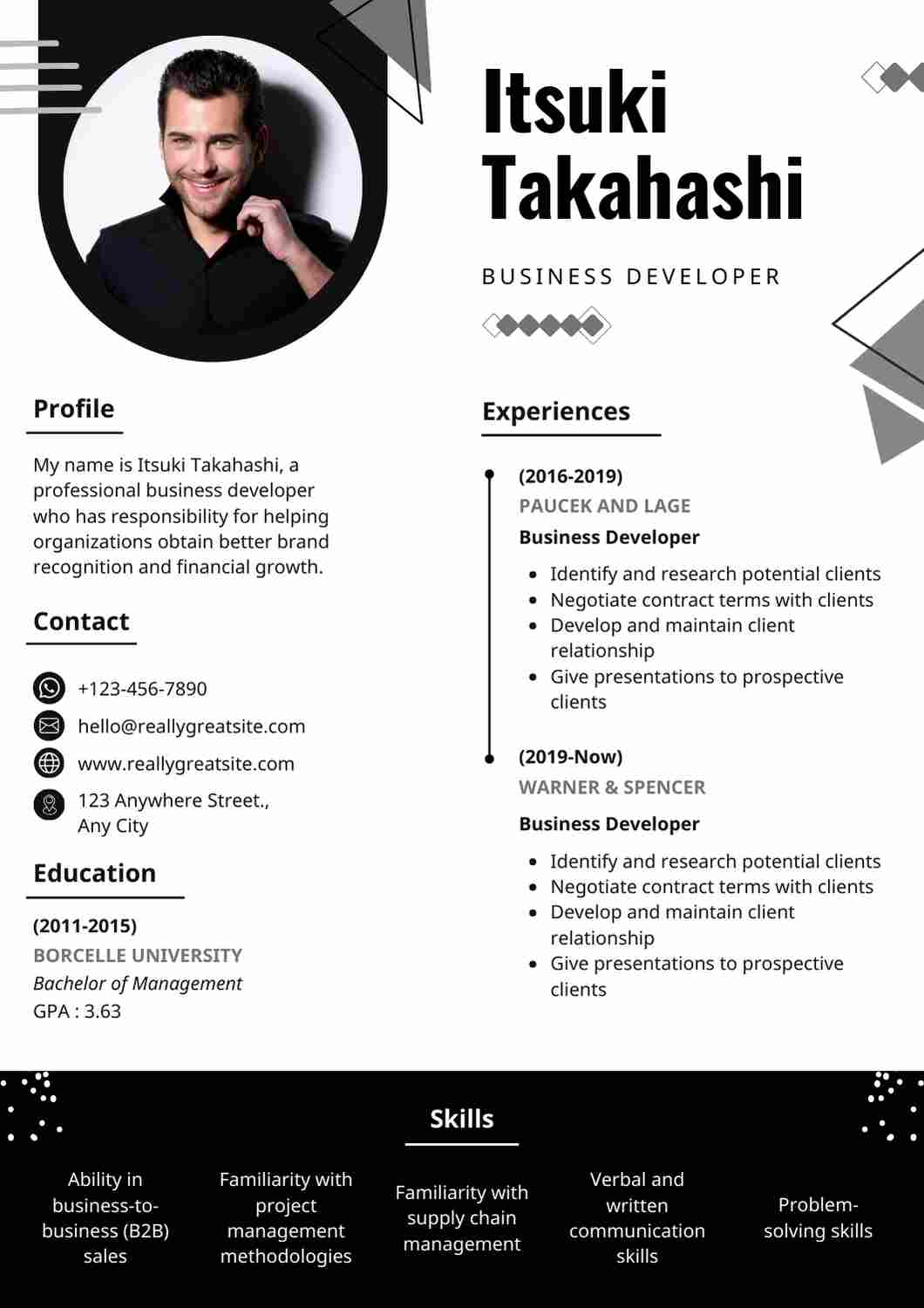 Business Intelligence Developer CV