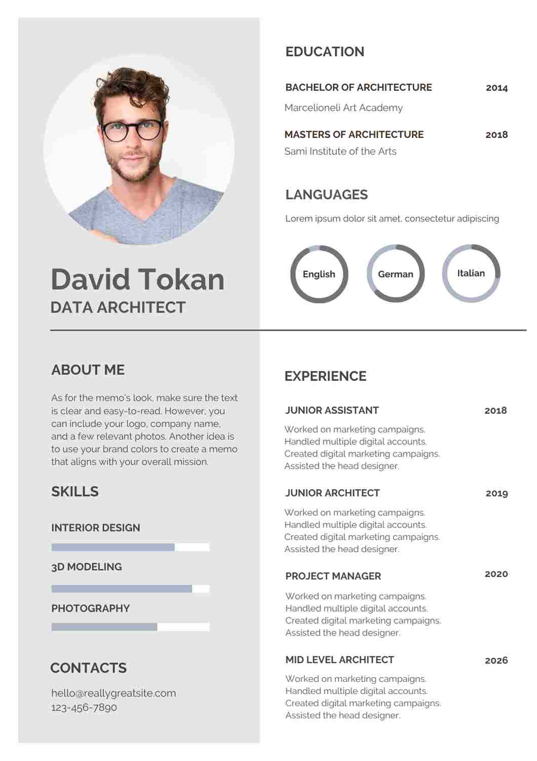 Data Architect CV