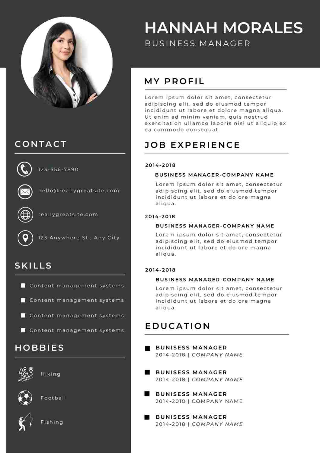 Database Manager CV