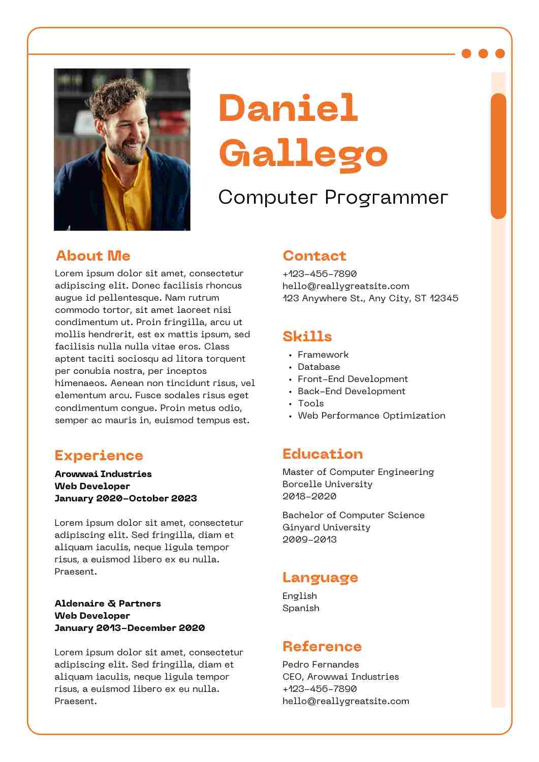 Computer Programmer Resumes